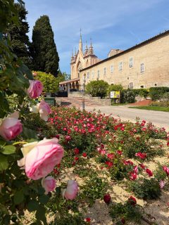 MAI 〰️ 🌸« Le bonheur est une petite chose que l’on grignote, assis par terre, au soleil » {Jean Giraudoux}

Un joli mois de mai qui commence au soleil… près de la mer, au pied des oliviers, avec des roses (et du rosé), des copines, des rires, des palmiers… les petits bonheurs simples ✨🤸😊

_______
Nice - Côte d’Azur - French Riviera