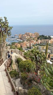 JARDIN 〰️ Après 6 ans de travaux, le @jardin_exotique_de_monaco a rouvert ses portes en mars dernier 🌵🇲🇨 Le jardin exotique est un véritable jardin suspendu à flanc de falaise et compte des centaines d’espèces de plantes exotiques. Son point fort ? Il offre un panorama incroyable sur la riviera 😍

🛘 A ne pas manquer : la grotte de l’observatoire - uniquement sur visite guidée. Pour y accéder comptez sur de bonnes enjambées… 300 marches pour descendre ! Mais elle vaut vraiment le détour ! Elle est parsemée de cavernes ornées d’une grande variété de concrétions. C’est vraiment beau 🤩 

📍Jardin exotique de Monaco
🕦 Ouvert toute l’année sauf 19 novembre, 25 décembre et GP de Monaco 🏎️
🎟️ Adultes 15€ jardin et grotte (Enfants 6€)

______
#Monaco #JardinExotique #Frenchriviera