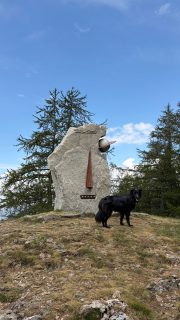 RANDONNÉE 〰️ 🥾Au départ du centre de @valbergalpesdusud, et dans le prolongement du planétarium du DOME dont je vous ai parlé il y a quelques jours, partez sur les traces des planètes et de l’astronomie 🪐 Découvrez le système solaire reproduit à l’échelle 1/1.000.000 sur le domaine de Valberg : 1m = 1 million de km ans l’espace 🌍 

Une activité ludique et pédagogique dans un cadre magnifique qui saura ravir petits et grands… et les compagnons à 4 pattes 🐾 

⛰️Spécial guest : l’adorable mascotte de @kidiklik_cote_dazur 🐕

Merci encore à @visitcotedazur pour cette journée au grand air ! 😍