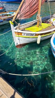 POINTUS 〰️ Ce week-end, j’ai mis les voiles dans mon Var natal et à Port-Cros où se déroulait la 2e édition des @pointus_port_cros ⛵️ 

Le temps d’un week-end Port-Cros @parcnationaldeportcros a vécu au rythme de ces embarcations typiques du sud de la France (comme nos pointus Niçois) venus des ports aux alentours. Une quinzaine au total 😊 

A la dernière minute, avec @les.vieux.greements.londais , j’ai eu la chance de pouvoir monter à bord du Pépito, le temps d’une sortie en mer autour de l’île de Bagaud…dont je me souviendrai 😍😂
 
Port-Cros est un Parc National protégé, idéal pour la randonnée ou la plongée sous-marine 🤿 Un petit paradis à préserver !